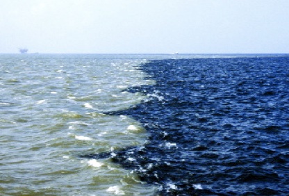 Dead Zones 2