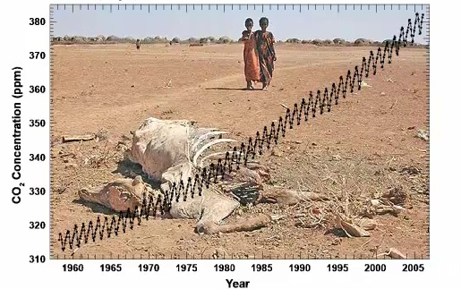 Desertification and CO2