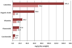 Rosehip Nutrient Comparison 3