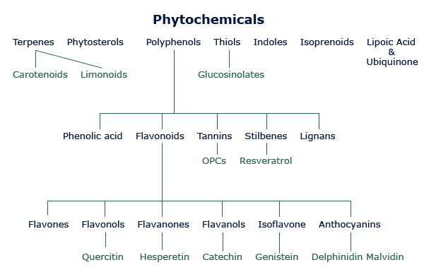 phytochemicals