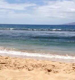 Maui wave video