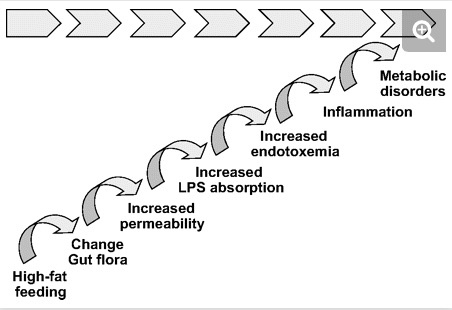 Leaky Gut Cascade