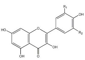 Flavonols 3