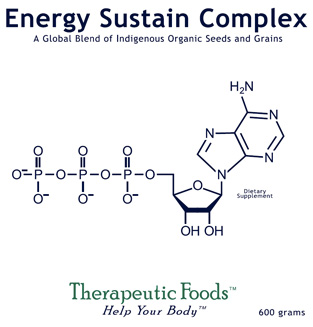 energy_sustain1