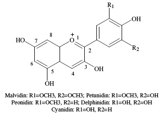 Anthocyanins (3) 2