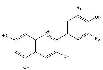 Anthocyanins (3) 4