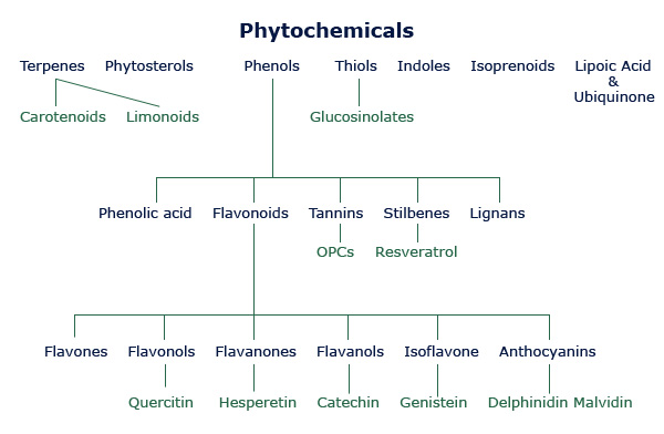 phytochemicals